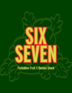 Six Seven Seeds (Grand Cru Genetics) 🌶️ Spicy Flavor