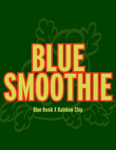 Blue Smoothie Seeds (Grand Cru Genetics) 🌴 Tropical Cookie