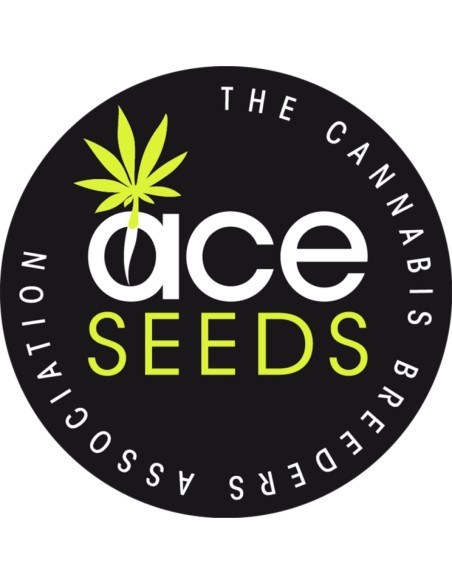 Tropical Mix Seeds (ACE Seeds) 🌴 Exotic Genetics Pack