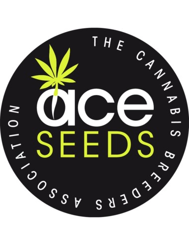 Tropical Mix Regular Samen (ACE Seeds) 🌴 Sativa-Paket