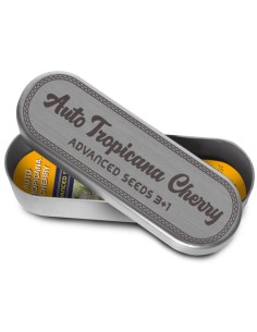 Tropicana Cherry Auto Seeds (Advanced Seeds) 🍒 Fruity Power