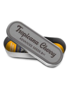 Tropicana Cherry Seeds (Advanced Seeds) 💥 High THC