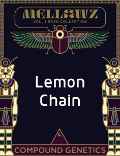 Semi di Lemon Chain (Compound Genetics) 🍋 Esclusiva