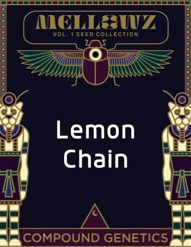 Lemon Chain Seeds (Compound Genetics) 🍋 Exclusive