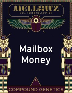 Semi di Mailbox Money (Compound Genetics) 💸 Esclusiva