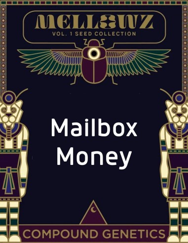 Mailbox Money Samen (Compound Genetics) 💸 Exklusiv