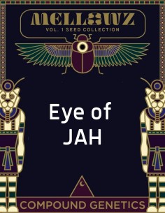 Eye of JAH Samen (Compound Genetics) 🌿 Exklusiv