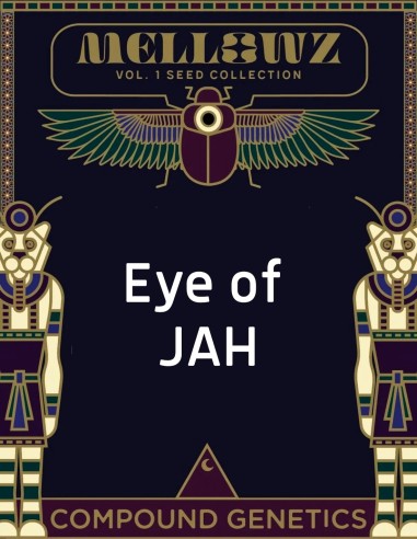 Eye of JAH Samen (Compound Genetics) 🌿 Exklusiv