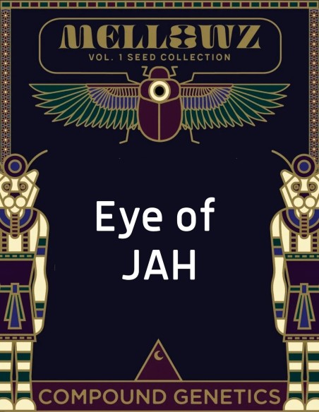 Eye of JAH Samen (Compound Genetics) 🌿 Exklusiv