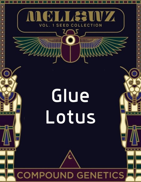 Glue Lotus Seeds (Compound Genetics) 🌿 Exclusive