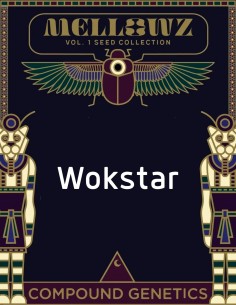 Semi di Wokstar (Compound Genetics) 🌿 Esclusiva
