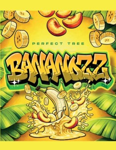 Bananozz Samen (Perfect Tree) 🍌 Kraftvolle Entspannung