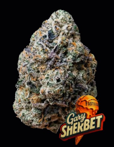 Gary Sherbet Samen (FastBuds) 💥 Bis zu 34 % THC