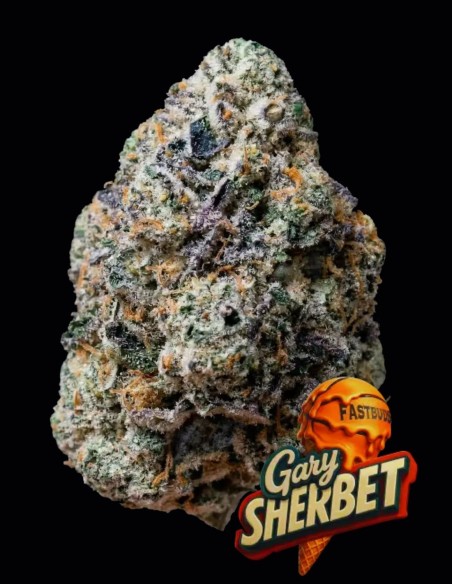 Gary Sherbet Samen (FastBuds) 💥 Bis zu 34 % THC