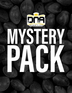 Graines DNA Mix Pack (DNA Genetics) 🎁 Variétés surprises