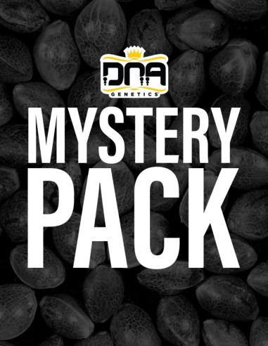 Graines DNA Mix Pack (DNA Genetics) 🎁 Variétés surprises