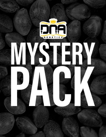 Graines DNA Mix Pack (DNA Genetics) 🎁 Variétés surprises