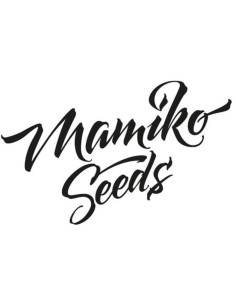 Graines Carbonade (Mamiko Seeds) 🌿 Rendements élevés