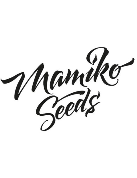 Graines Monkey Grip (Mamiko Seeds) 🌿 Saveur Haze