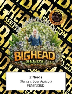 Z Nerds Seeds (Big Head Seeds) 🍬 Sweet Candy