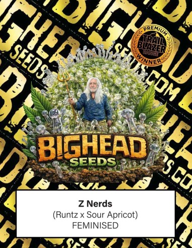 Z Nerds Seeds (Big Head Seeds) 🍬 Sweet Candy