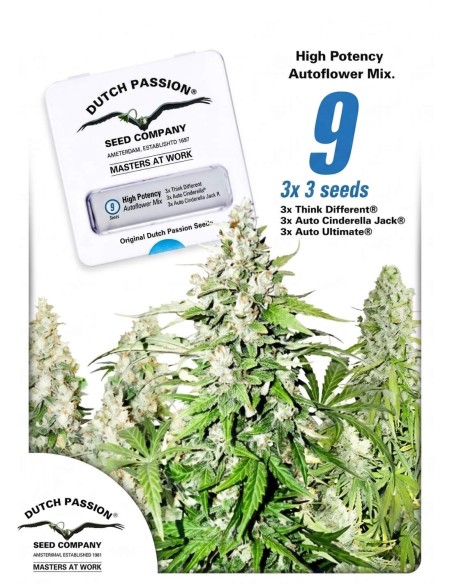 High Potency Auto Mix Seeds (Dutch Passion Seeds) 🌿 Variety