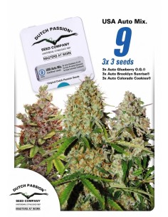 USA Auto Mix Seeds (Dutch Passion Seeds) 💥 Strong Genetics