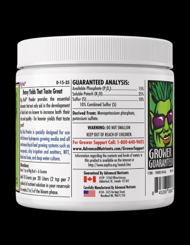 Big Bud Powder Advanced Nutrients | Blütenbooster Pulver