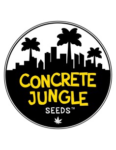 Semillas Bruce Banner (Concrete Jungle Seeds) 💥 Alto THC