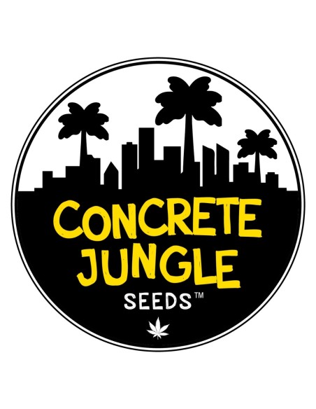 Bruce Banner Seeds (Concrete Jungle Seeds) 💥 High THC