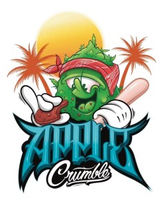 Apple Crumble Samen (Nasha Genetics) 🍎 Hoher THC-Gehalt
