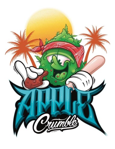 Apple Crumble Samen (Nasha Genetics) 🍎 Hoher THC-Gehalt