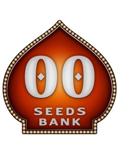 Semillas Auto Zunami Peach (00 Seeds) 🍑 Novedad