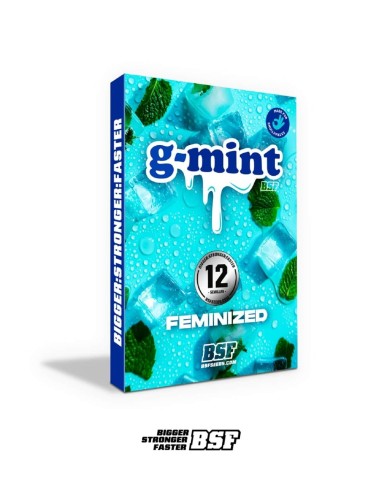 Semi G-mint (BSF Seeds) 🌿 THC elevato e resina abbondante