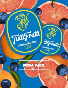 Semi Tutti Frutti Mix (BSF Seeds) 🍒 4 varietà fruttate