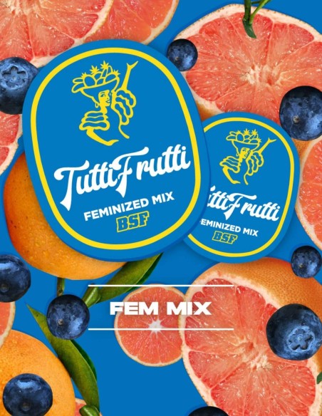 Semi Tutti Frutti Mix (BSF Seeds) 🍒 4 varietà fruttate
