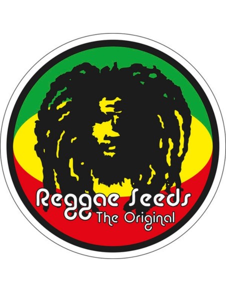 CBD Republik I (Reggae Seeds) Feminized Seeds | On Sale!
