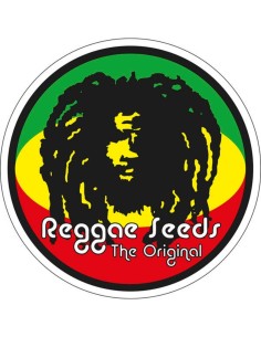 CBD Republik II von Reggae Seeds Hanfsamen | Oaseeds