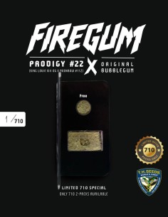 FireGum Seeds (T.H. Seeds) 🌿 Exceptional Resin 2