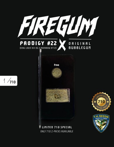 FireGum Seeds (T.H. Seeds) 🌿 Exceptional Resin