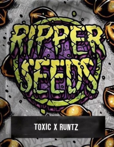Toxic x Runtz Samen (Ripper Seeds) 🍒 Fruchtiger Geschmack