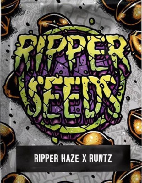 Ripper Haze x Runtz Seeds (Ripper Seeds) 💥 Strong Sativa