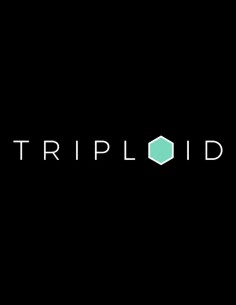 Midwest CBD Triploid Seeds (Triploid Genetics) 🌿 New Release