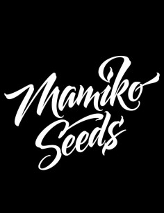 Verbena Funk Regular Seeds (Mamiko Seeds) 🌱 New Release