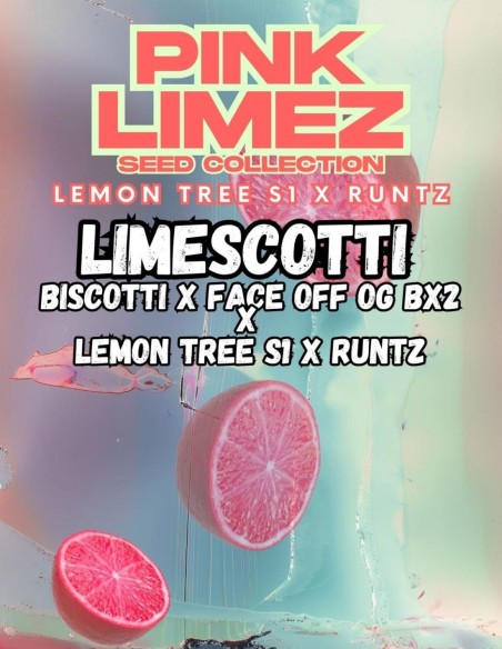 Semi Limescotti (Grounded Genetics) 🍋 Agrumi Dolci