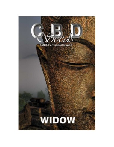 Widow (CBD Seeds) Semillas Feminizadas | ¡En Oferta!
