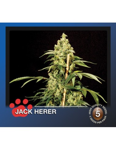 Jack Herer