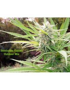 Outdoor Mix