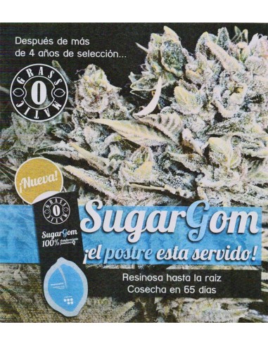 SugarGom (Grass O Matic Seeds) Autoflowering Seeds - Oaseeds
