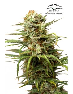 AutoWhite Widow 2